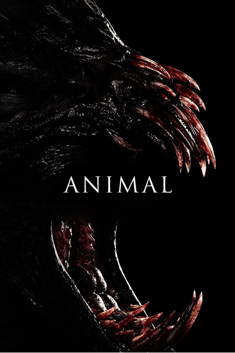 Animal