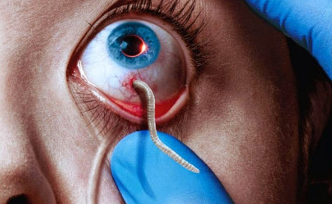The Strain S1